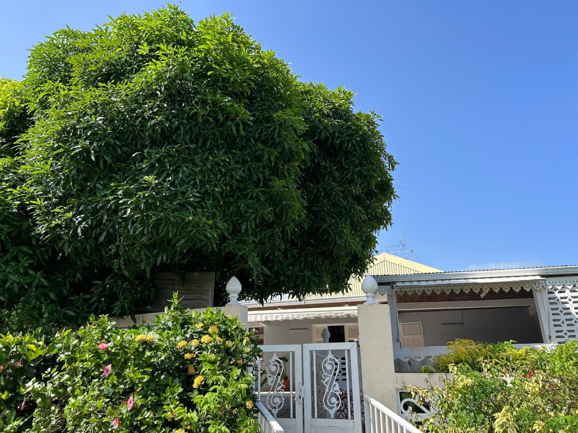 Villa A Louer A Sainte-Anne En Martinique Kültér fotó